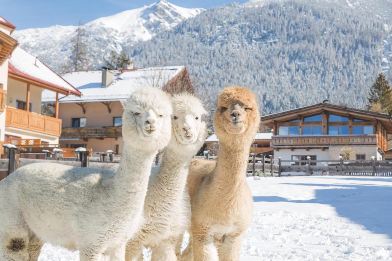 Flat Hotel Seefeld in Tirol Eksteriør billede